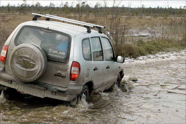 bredamer-kourdiockle-vokrug-onezhskogo-ozera-2007_.jpg