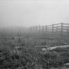 bredamer-kourdiockle-white-sea-2007_.jpg bredamer-kourdiockle-white-sea-2007_.jpg