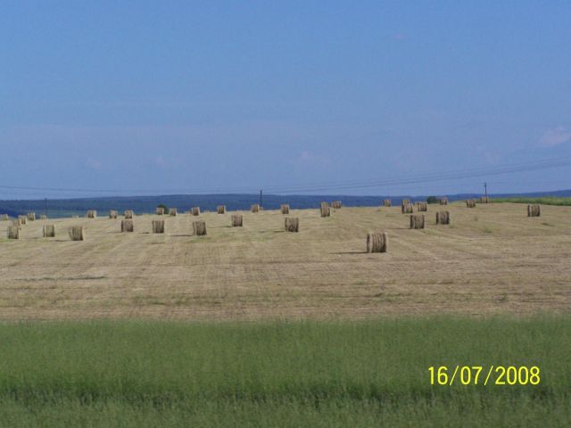 Почти круги на полях Почти круги на полях
