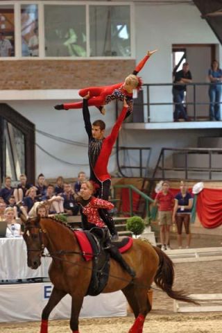 Чемпионат Европы-2007 (Капошвар, Венгрия). Команда. Чемпионат Европы-2007 (Капошвар, Венгрия). Команда.