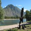 Сюрреалии одного дерева... Сюрреалии одного дерева...
