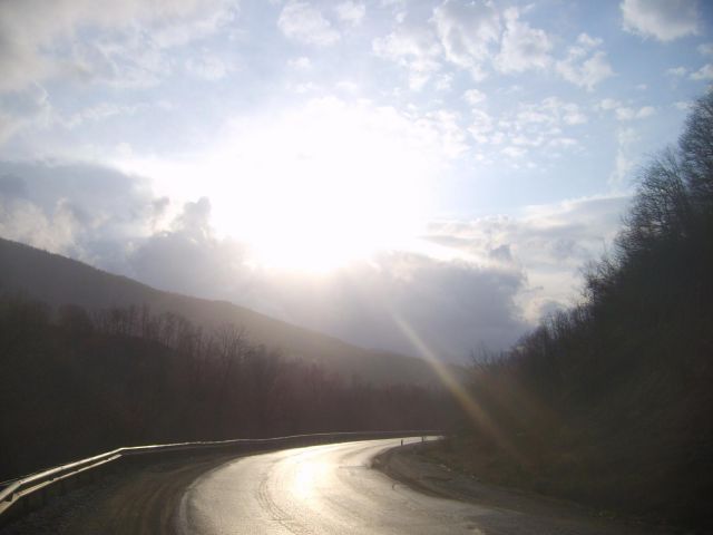 S6000431.JPG