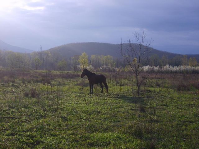 S6000766.JPG