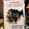 Кому щенка?