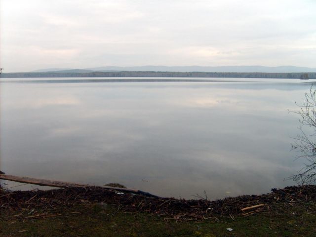 S5004464.JPG