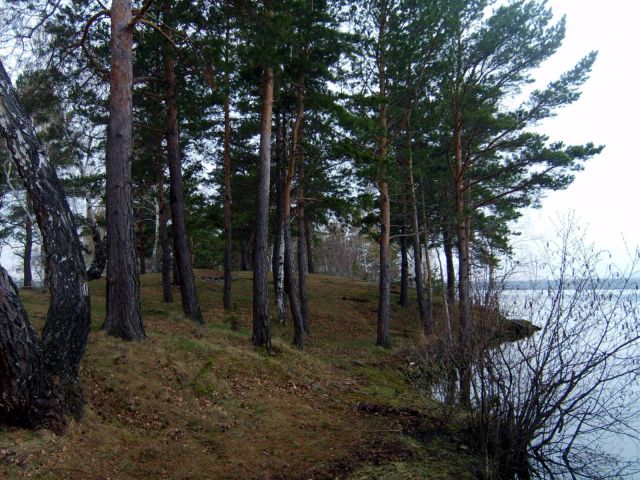 S5004466.JPG