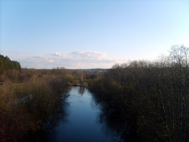 S5004312.JPG