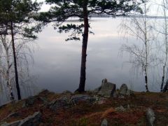 S5004481.JPG S5004481.JPG