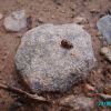 PICT0628.JPG