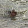 P1020710.JPG