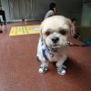 DSC00798.JPG