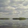 Белогривые лошадки