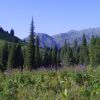 x_7a1b393c.jpg