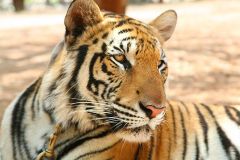 IMG_7106.jpg IMG_7106.jpg