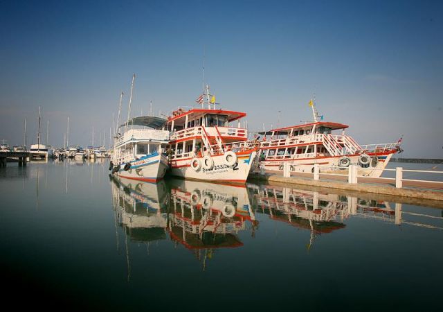 IMG_8150.jpg