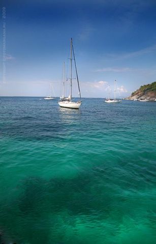 IMG_8757.jpg