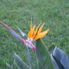 DSC04897.JPG