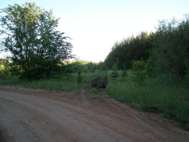 P6067146.JPG