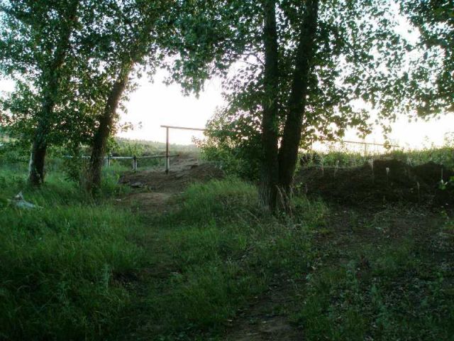 P6067186.JPG