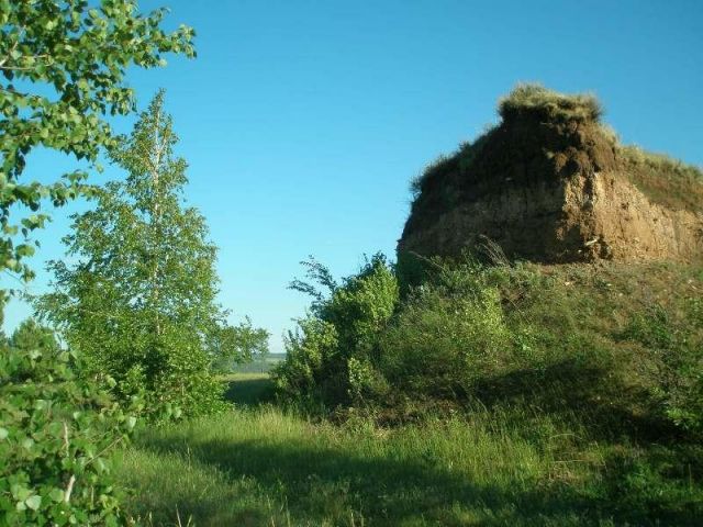 P6067153.JPG