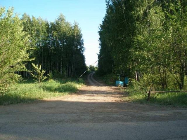 P6067142.JPG