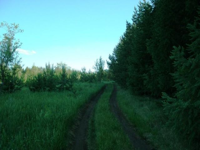 P6067147.JPG