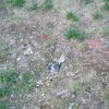 P6067169.JPG