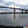 Любимый мост West Gate Bridge