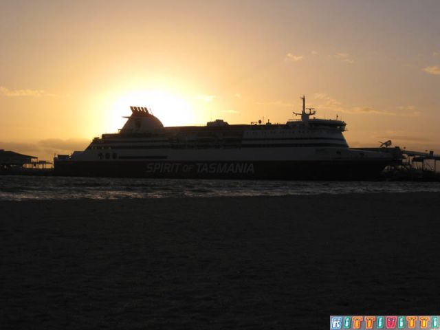 tassie boat