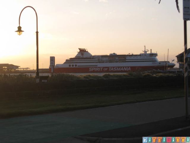 tassie boat