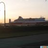 tassie boat
