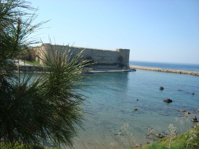 DSC03119