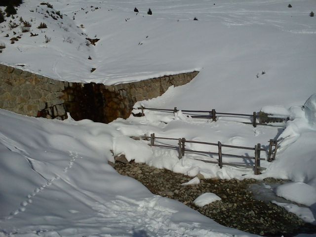 DSC00260 DSC00260