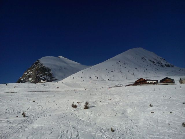 DSC00231 DSC00231