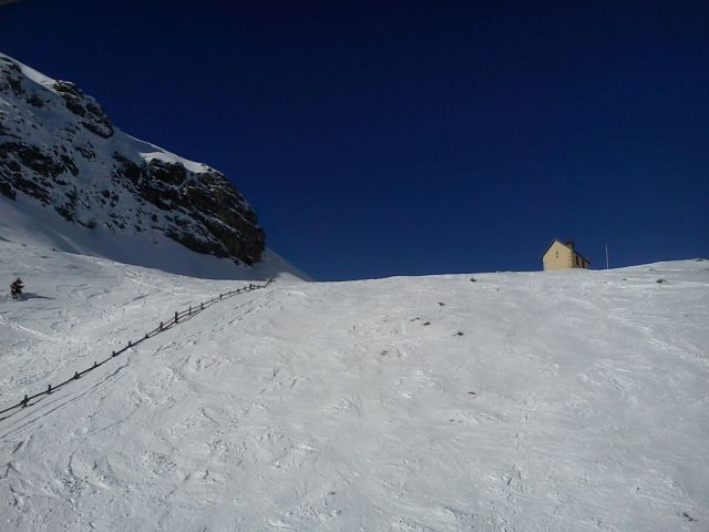 DSC00236 DSC00236