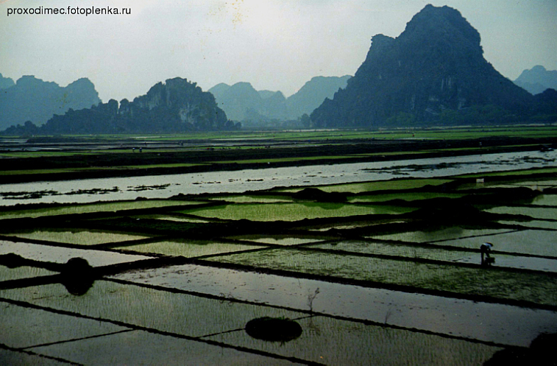 Viet-Tam Coc landscape.jpg