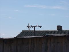 DSCN0091 DSCN0091