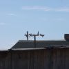 DSCN0091