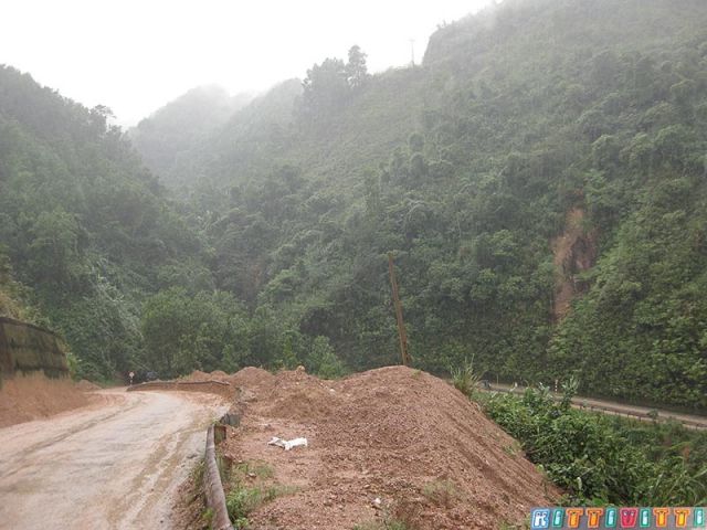 viet98