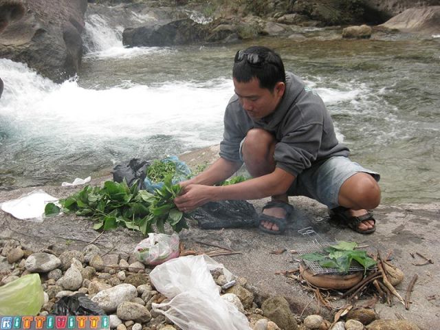 viet9917
