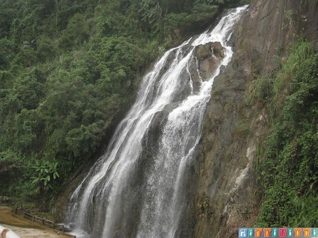 viet9925