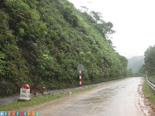 viet9901