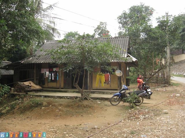 viet45