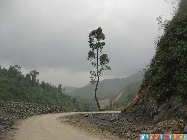 viet9902