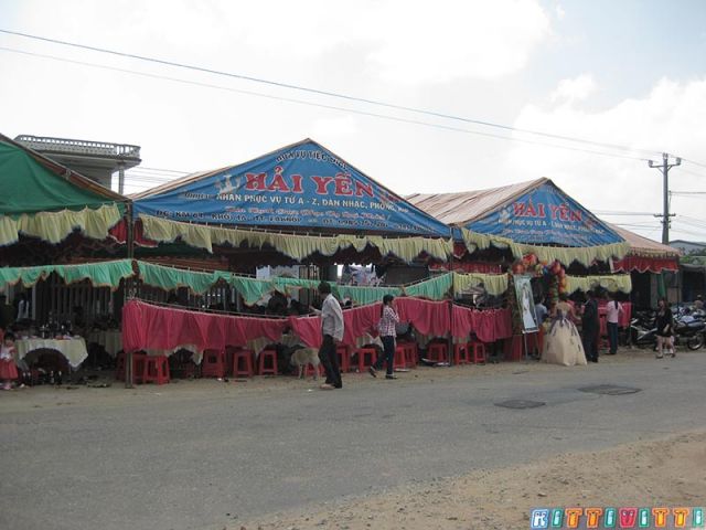 viet9943