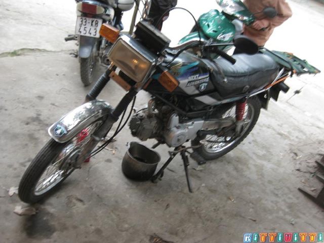 viet28