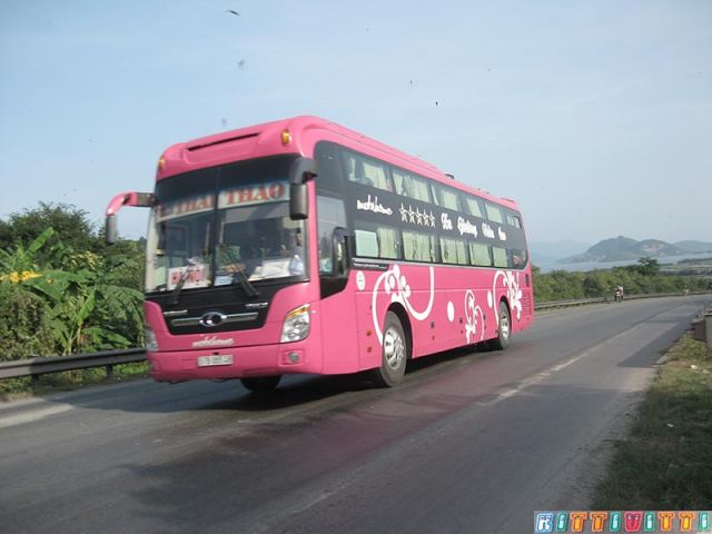 viet9951