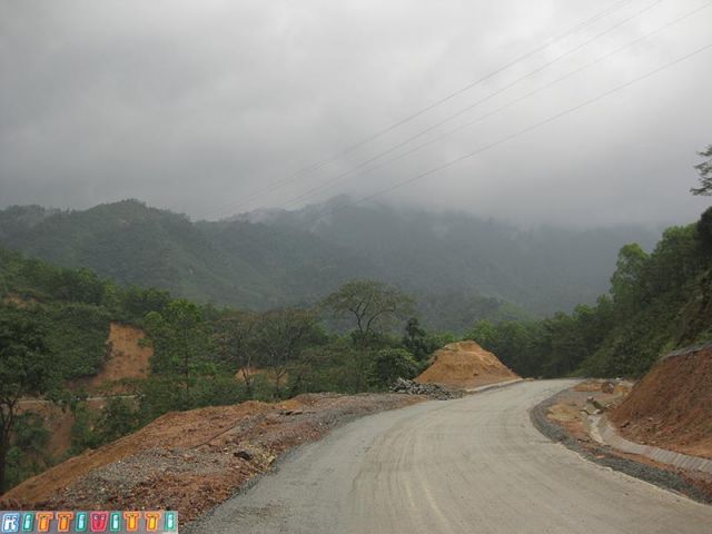 viet9903