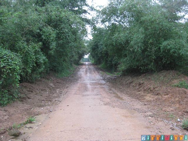 viet81 viet81