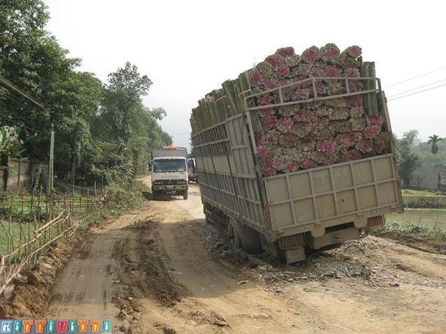 viet49